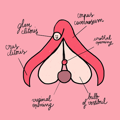 Clitoris clitoris feminism illustration women