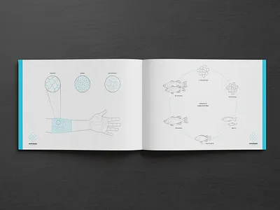 xenobass | Diagram Spread biodesign biodesign challenge 2020 branding design diagram design graphic design illustration infographic logo moma