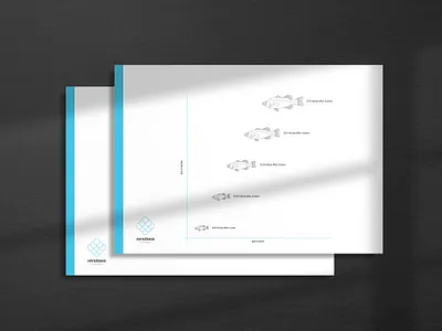 xenobass | Diagrams biodesign biodesign challenge 2020 brand identity design diagram design graphic design illustration infographic logo