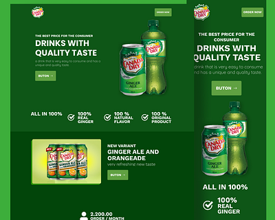 A Landing Page Canada Dry (Fan Made) adobe illustrator design figma front end graphic design illustration landing page ui ux website design