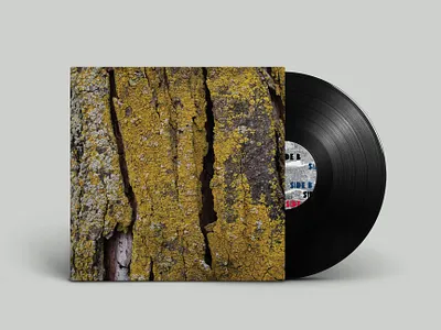 Landmarks | Album Insert (Front) album cover brand design design graphic design music package design photography typography vinyl