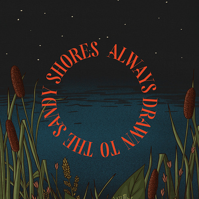 Bayou Typeface: Sandy Shores bayou beach design illustration lettering pacific northwest plant illustration pnw serif typeface typeface design typography