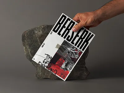 Berserk - Concept - book bookcover design graphic design illustration magazine typography
