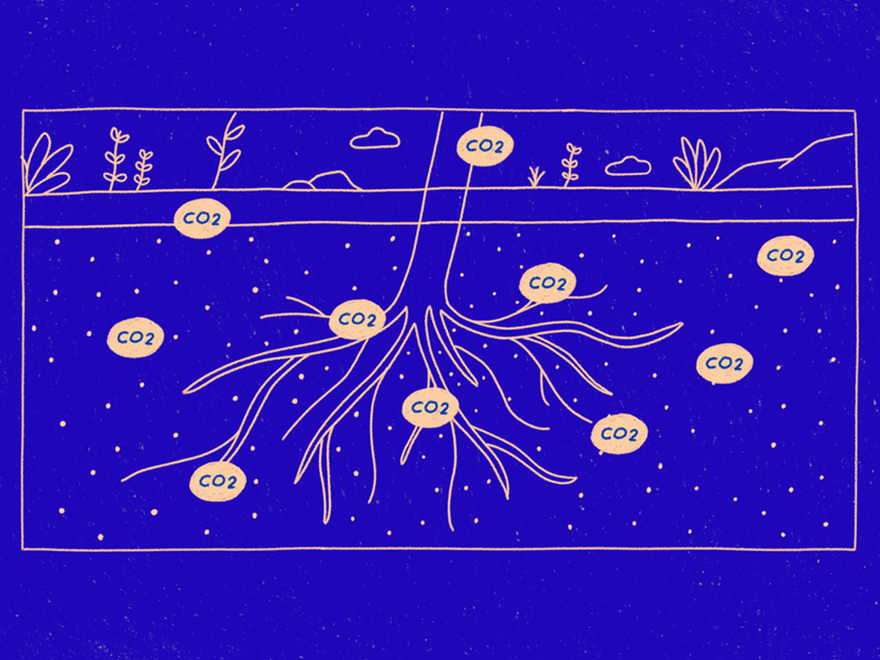 Climate Neutrality. Carbon sinks 2d animation 2danimation animation art direction carbon sinks cel animation character character design climate neutrality co2 emissions european greens green illustration loop motion offbeatestudio
