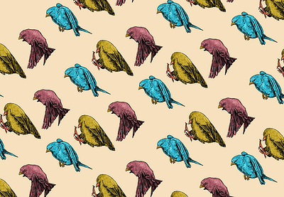 Pattern illustration bird design graphic design illustration pattern