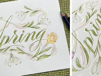 Spring - watercolour draw letters handdrawn handlettering illustration lettering lettering art watercolour