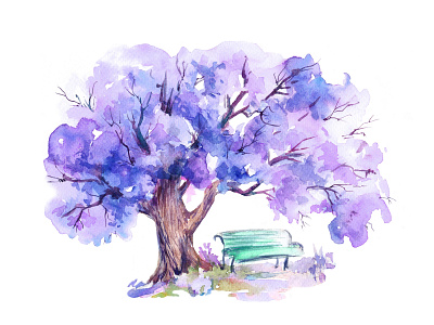 Blooming Jacaranda tree. Watercolor illustration. bench blooming design drawing element graphics hand drawn illustration jacaranda nature park sketch tree watercolor