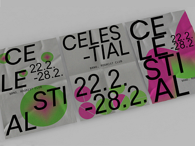 CELESTIAL poster design event graphic design poster vector