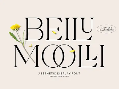 Beliu Mooli Font branding design display display font font graphic design illustration logo serif typeface typography