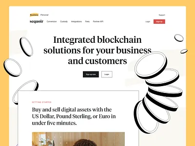 Sequior Website Concept – B tech