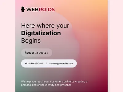 _WEBROIDS Social media identity design social media