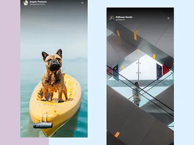 Layout of Stories Design branding design ui ux ux design uxui web