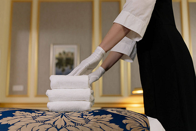 Cleaning Business Franchise - Tina Maids Franchise LLC cleaning business franchise