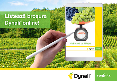 Cromatix work - Dynali Facebook banners for Syngenta! branding chisinau creative cromatix cromatix creative image lab cromatixlab design illustration logo moldova