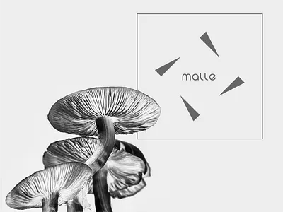 Malle Records-Techno/IDM label based in Tbilisi,Georgia brand identity branding design golden ratio illustrator label logo logo design logo designer mashrooms minimal poster design records techno vector vinyl