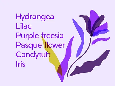 Ludeco font display font floral font graphic design modern type typeface typography