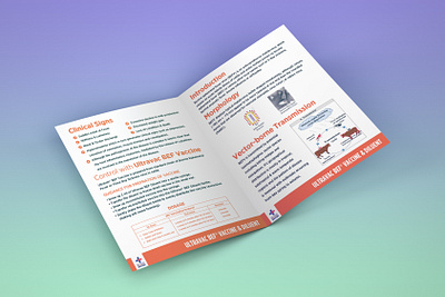 BROCHURE DESIGN FOR CATTLE PRODUCT about page