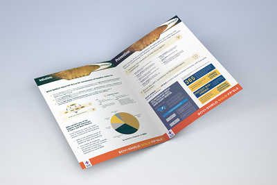 BROCHURE DESIGN FOR CATTLE PRODUCT about page