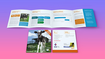 BROCHURE DESIGN FOR LIVESTOCK PRODUCT about page standee