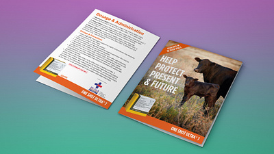 BROCHURE DESIGN FOR CATTLE PRODUCT about page