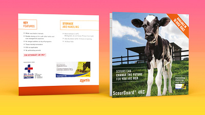 CATTLE BROCHURE DESIGN about page