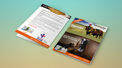 BROCHURE DESIGN FOR LIVESTOCK PRODUCT about page