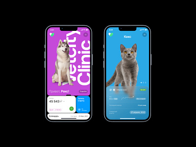 Vetcity App. animals app clean design interface mobile pets ui veterinary web