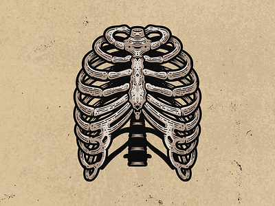 Wild Bones - Ribcage adobe adobe illustrator anatomical anatomy art bone bones cinema digital art film illustration illustrator indie movie medical movie ribcage ribs texture vector