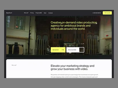 Spectrum Animation after effects agency animation art direction branding clean creative design landing logo motion graphics ui ui animation ui elements uidesign ux video web web design web studio