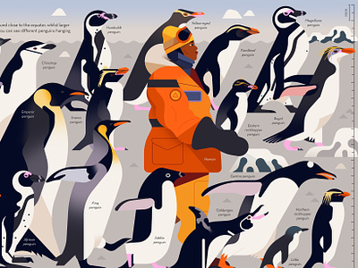 Passionate About Penguins animals childrens book digital folioart illustration nature non fiction owen davey publishing wildlife