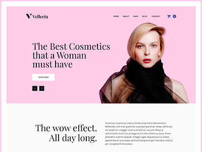 Vellecta beauty beauty products cosmetics creative design e commerce interface design ledies makeup moisturizer online shoping template ui ui ux user experience user interface ux website women women store