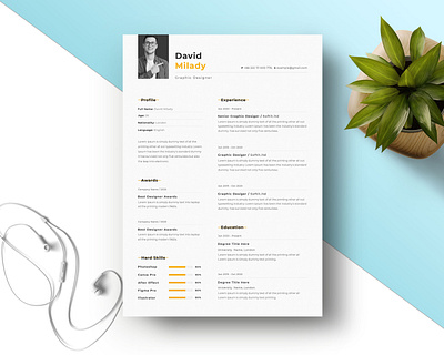 Professional Resume Template cv design graphic identity resume web