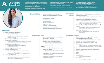 Delivery Consultant Persona Guide persona research user interview