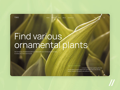 Plant Web Site designs, themes, templates and downloadable graphic ...
