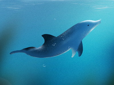 Dolphin Illustration animal blue bubbles diving dolphin drawing fish illustration infographic marine life nature ocean procreate sailing summer swimming texture water