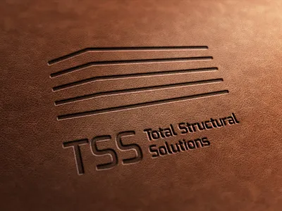 TSS / Branding Project branding design graphic design logo typography vector