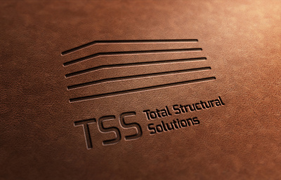 TSS / Branding Project branding design graphic design logo typography vector