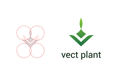 Vect Plant Logo Design brand brand identity branding creative logo design eco logo graphic design illustration logo logo design modern logo plant logo plant logo design tree logo tree plant logo v letter logo v logo v mark v mark design v plant logo