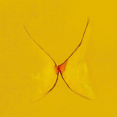 Nipple Kiss / Illustration art design graphic design illustration