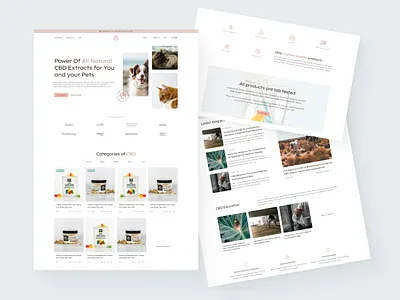 CBD Website Design Idea cannabis cannabis business cannabis industry cannabis website cbd cbd oil cbd webdesign cbd website design digital octane figma figma design hemp hemp oil ux web web developer web development agency webdesign for cbd webdevelopment