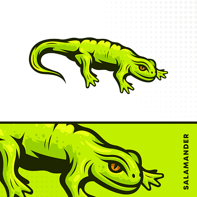 Salamander Illustration design detailed drawing illustration lizard salamander vector