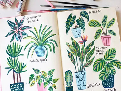 Plants art drawing gouache hand drawn illustration painting plants sketchbook