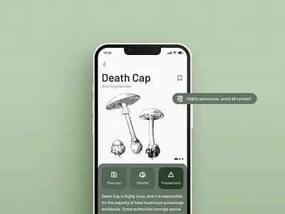 Mushroom Identification App Concept app buttons concept description figma green info information mushroom scan scanner ui ux