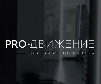 Full development of logotype and logobook for training studio branding design graphic design logo брендинг графический дизайн