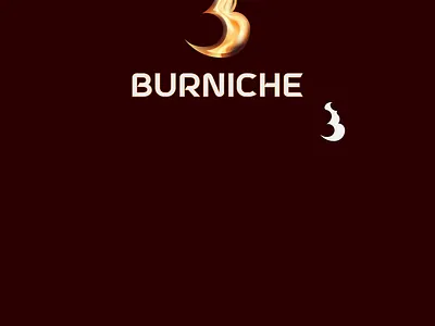 Burniche 3d branding design graphic design illustration logo typography vector