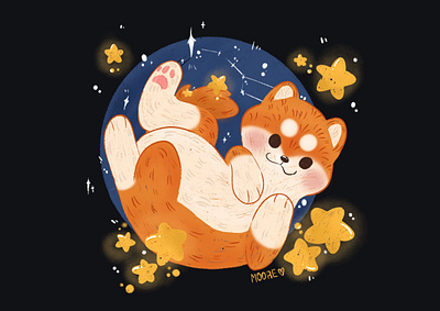 Counting stars animal illustration animals dog dog illustration illustration shiba shiba inu