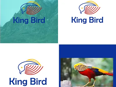 king bird logo 3d animation branding graphic design logo motion graphics ui