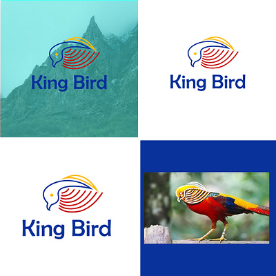 king bird logo 3d animation branding graphic design logo motion graphics ui