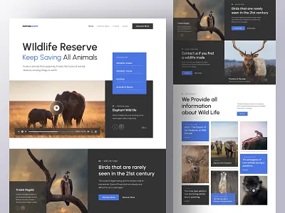 Animal Lover - Wildlife Reserve Landing Page adventure animal clean clean website cleandesign design earth landing page nature pets ui uidesign uiux ux web webdesign website wildlife zoo