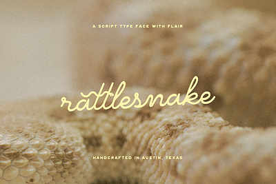 Rattlesnake brand design branding design font font face graphic design hand lettering icon lettering logo rattlesnake script snake type type face